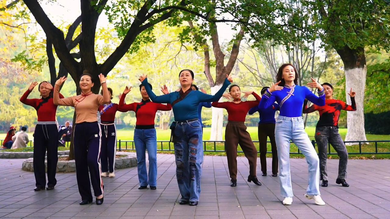 爱情盗贼广场舞下载手机版广场舞下载大全mp4免费下载网站-第2张图片-太平洋在线下载