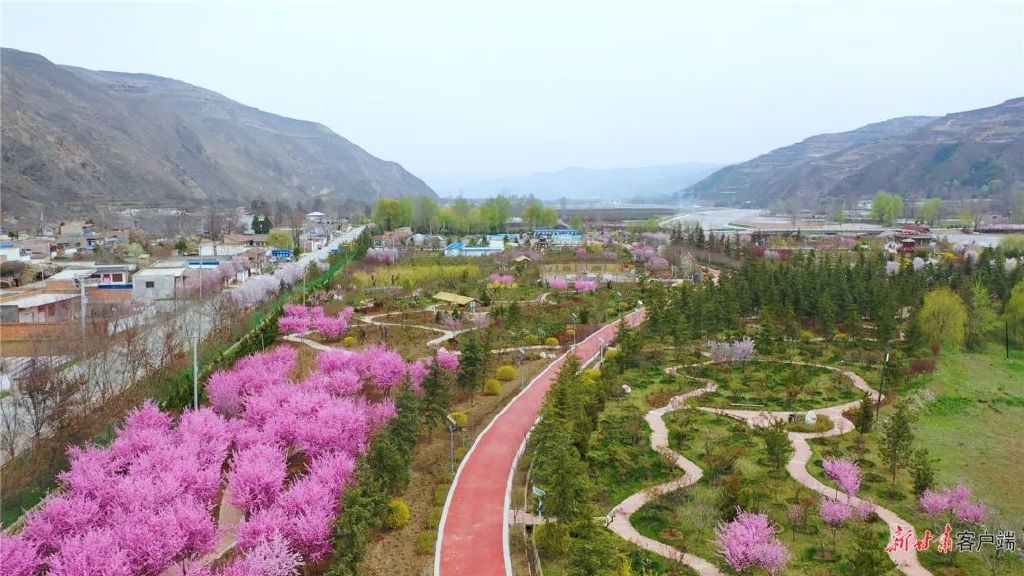 新定西客户端新定西app客户端