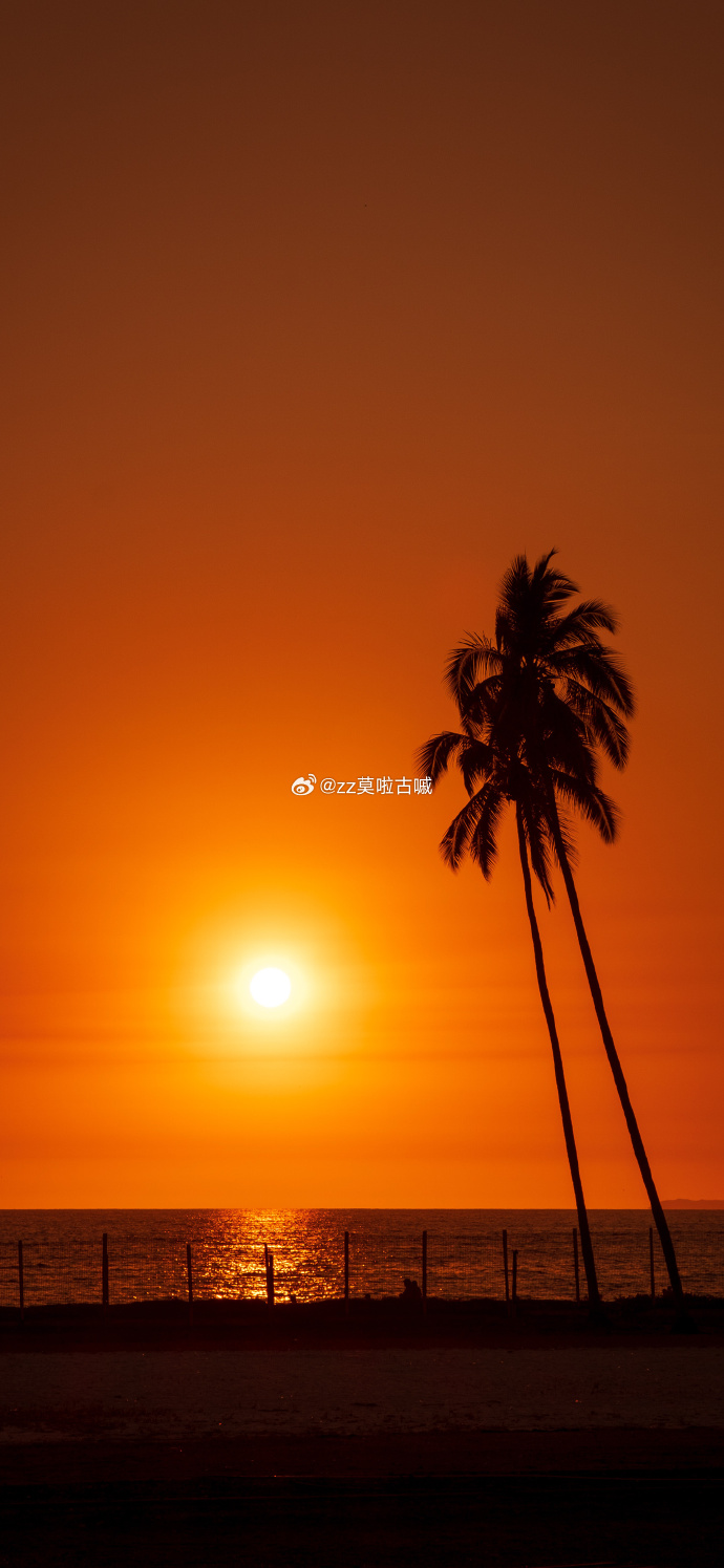 幕享手机版幕享官方网站